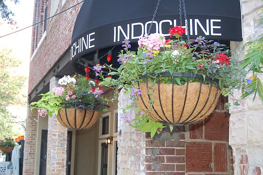 Photo by Max Marbut - Downtown's "Great Streets" hanging flower baskets have been replanted for spring, just in time for this weekend's Jacksonville Jazz Festival.