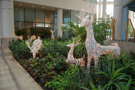 Photos by Max Marbut - The lobby between the Omni Hotel and Enterprise Center is home to a herd of illuminated reindeer.
