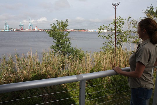 Photo by Joe Wilhelm Jr. - St. Johns Riverkeeper Lisa Rinaman peers over the St. Johns River from the observation deck at the Jacksonville University Marine Science Research Institute, home of the organization's office.