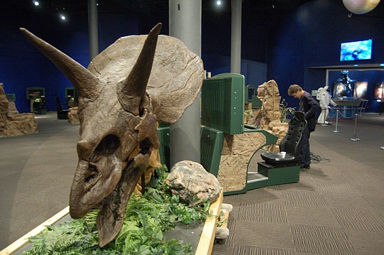 Photos by Max Marbut - Museum of Science &amp; History staff were installing the new "Be the Dinosaur" exhibit Tuesday. It opens with a preview for members at 6 p.m. Friday.