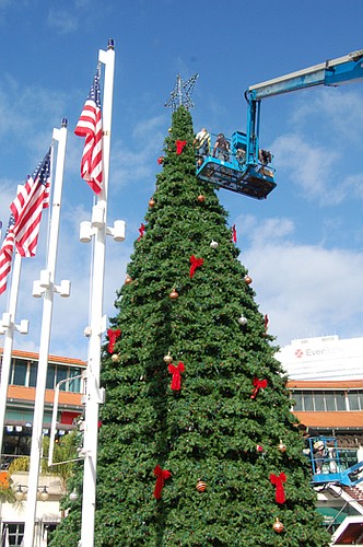 A crew was busy Friday decorating the Christmas tree at the Landing in preparation for the 27th Annual Tree Lighting Ceremony this Friday at 7 p.m. There are more than 78,000 LEDs and 200 ornaments on the holiday display and its illumination each year...