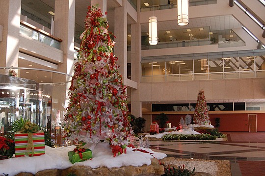 Two trees decorate the garden lobby at Wells Fargo Center.