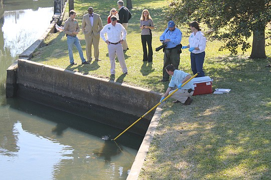 Florida Department of Environmental Protection biologist Dave Whiting and DEP environmental consultant Anita Nash remove and label water samples from Hogans Creek near First Street. The agency will test the samples for fecal coliform bacteria using a ...
