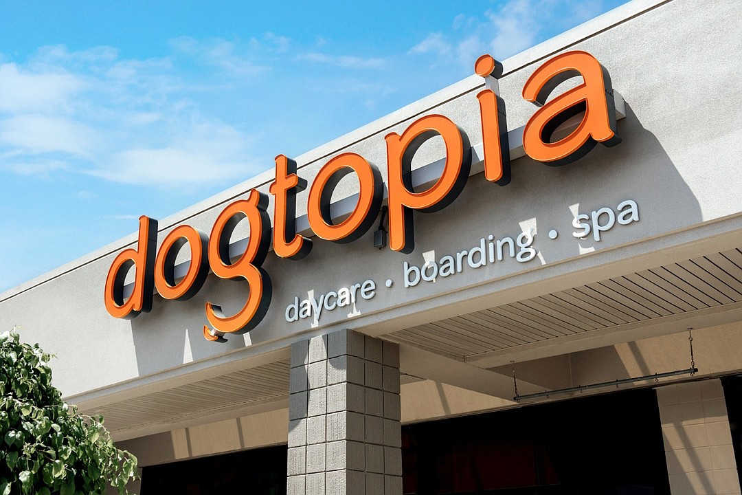 Dogtopia best sale boarding cost