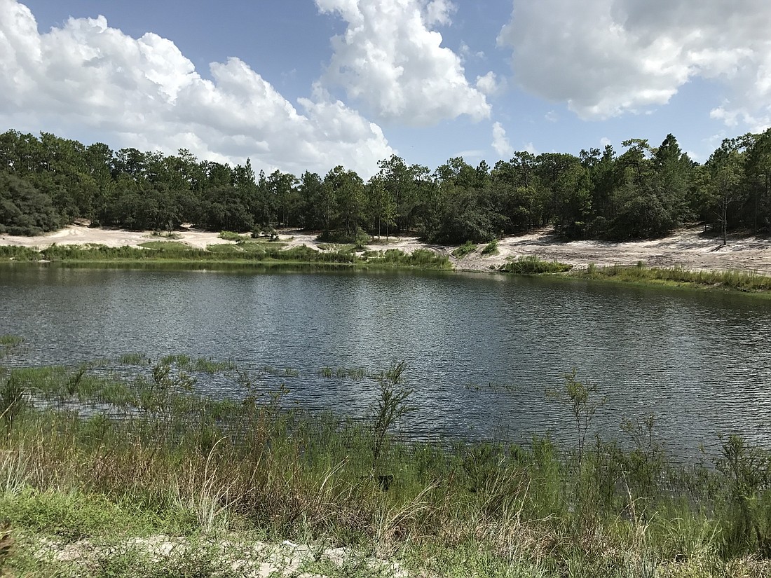 Little Rain Lake, part of the Little Rain Lake Preserve, has been acquired by the North Florida Land Trust.