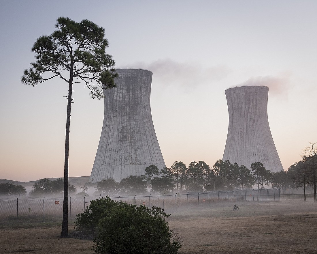 The cooling towers at the St. Johns River Power Park. (Photo by Mary Arditti, former SJRPP employee)