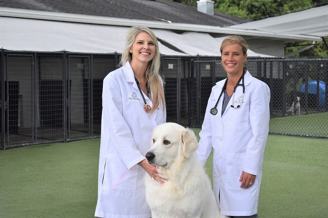 Dr. Michelle Delucia, left,  and  Pet Paradise Chief Veterinary Officer Dr. Jaime Pickett.