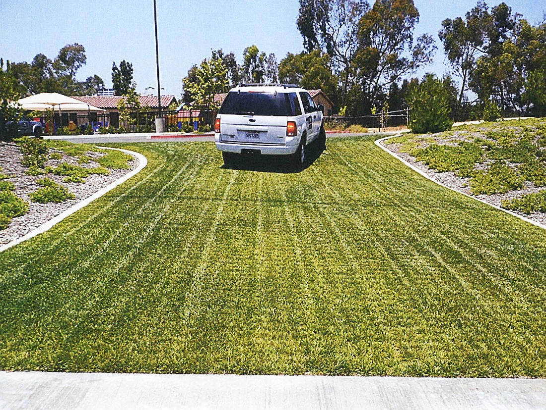Homeowners in the community would drive on roads made of grass instead of asphalt or concrete.