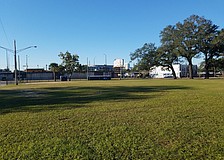 Tim Tebow-backed group plans to bring soccer back to Jacksonville, Fla. 