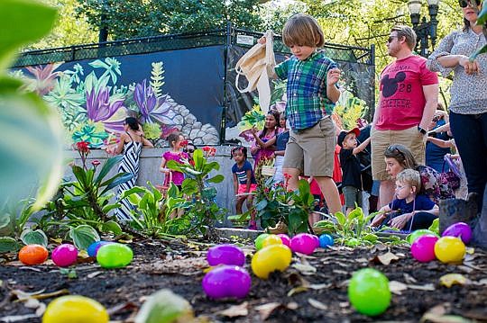 Four-year-old Easton Taft surveys eggs before the start of an egg hunt Sunday as part of the second annual Easter Bash &amp; Egg Hunt at Hemming Park. The event also featured games, crafts and pictures with the Easter bunny.
