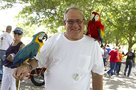 Allan "Birdman" Weseman is a Navy veteran and familiar face at the Riverside Arts Market. On Saturday, he brought his pet birds to entertain riders in the Riding Into History event and supporters of K9s For Warriors.