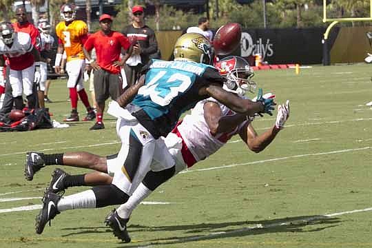 Jacksonville defensive back Briean Boddy-Calhoun breaks up a pass to Tampa Bay wide receiver Jonathan Krause.