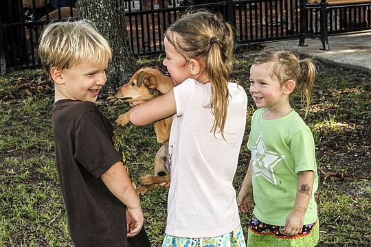 Five-year-old Cort Csar, left, leans back to avoid a doggie kiss from Corey, as Maggie Caron, 5, teases him and Josephine Caron, 4, laughs. They were at the opening of the John Gorrie Dog Park at Riverside Park on Saturday afternoon.