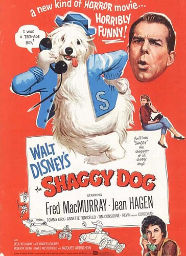 The Plaza Rocking Chair Theatre was showing a Fred MacMurray double feature this week in 1967: "The Shaggy Dog" and "The Absent-minded Professor."