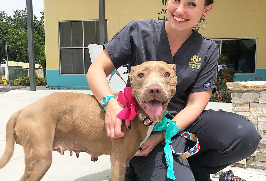 Drive Benefits Humane Society On Jacksonville Jax Daily Record   325741 Standard R850x580 