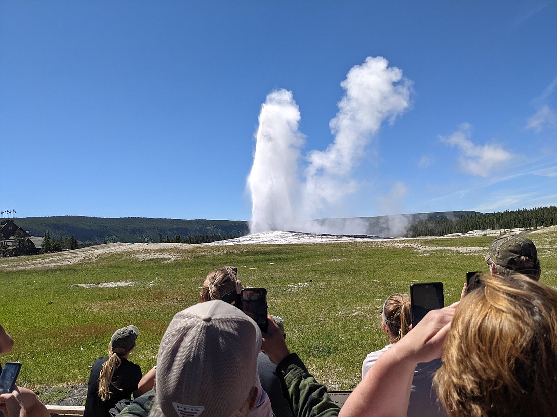 The Old Faithful geyser erupts at Yellowstone National Park.