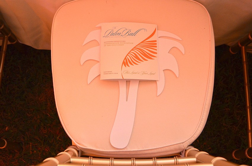 The Palm Ball program