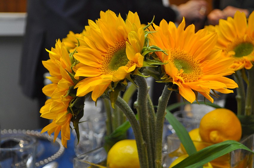 The sunflower centerpieces at Sarasota Orchestraâ€™s Visiting Artists Dinner Series Thursdsay, March 6, at PNC