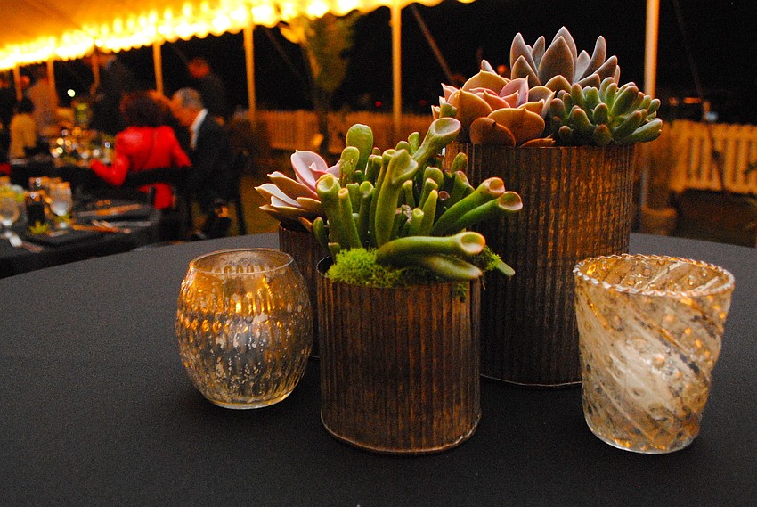 Turner Tree and Landscape provided the plants and trees for the event dÃ©cor at Polo Under the Palms.