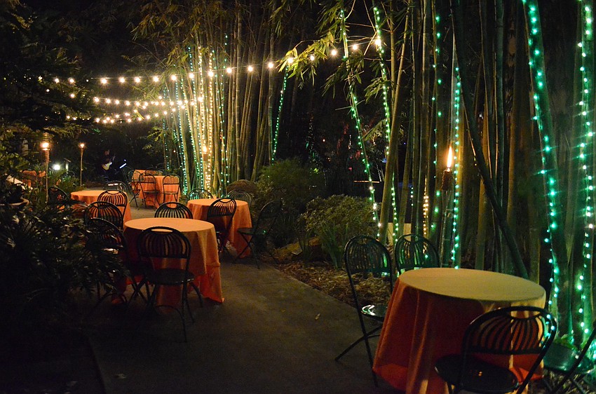 The Ann Goldstein Childrenâ€™s Rainforest Garden was transformed into a magical jungle Thursday, Nov. 7, for the donor preview event.