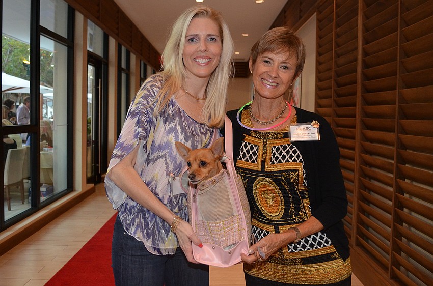 Co-chairs Shelly Sarbey and Karin Gustafson