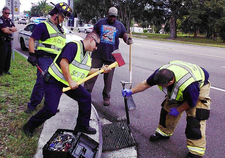 Sarasota County and city of Sarasota emergency workers raced to save a duckling trapped in the sewers near Sarasota Memorial Hospital July 7.