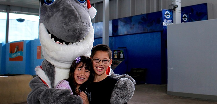 On Saturday, Nov. 30, Julia and Brandon Yu pose with Gilly the Shark.