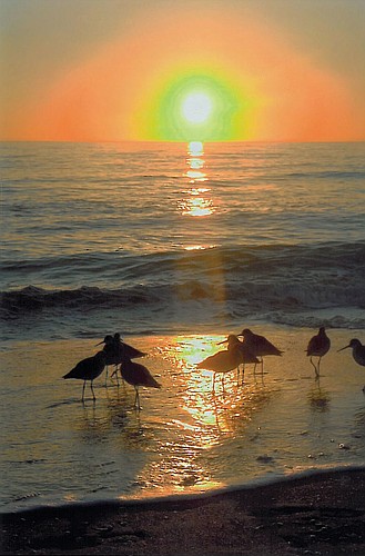 Dick Grace submitted this sunset photo, taken on Longboat Key.