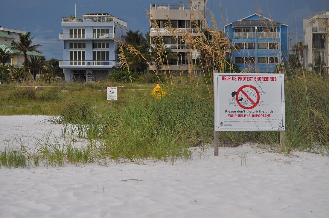 Informational signs on Siesta Key Beach warn against disturbing shorebirds.