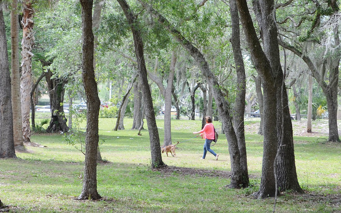 Area residents commonly walk their dogs and, children play in the Fruitville Park.