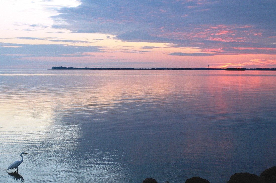 East County resident Charles Haeussner submitted this photo of an egret enjoying a sunset.