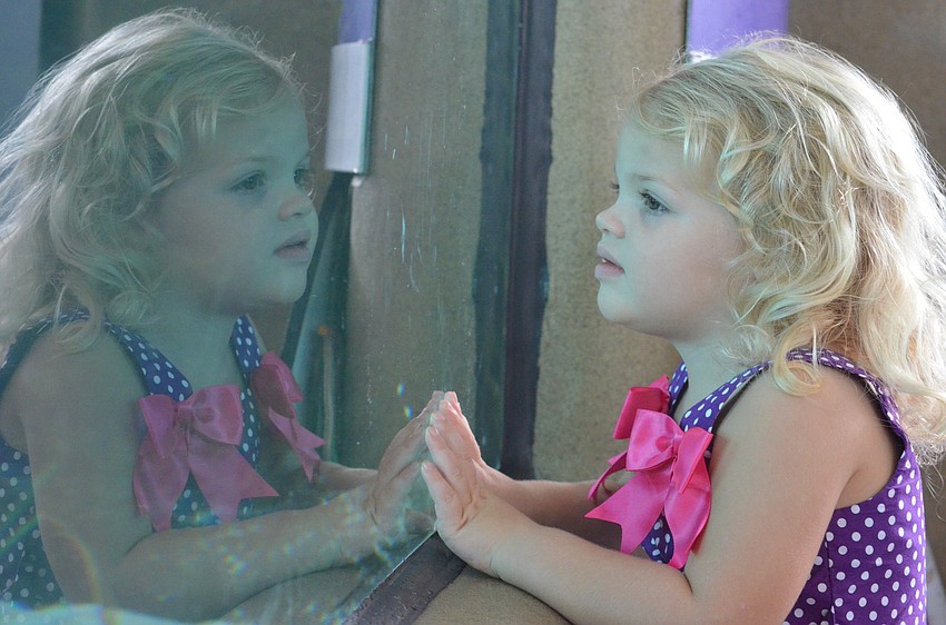 Madison P., 3, observes the sharks swimming overhead.
