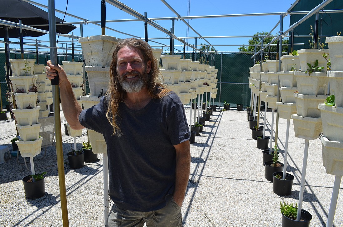McAllister planted a rooftop garden at the Flow Factory, his structure he hopes to use to promote healthy living.