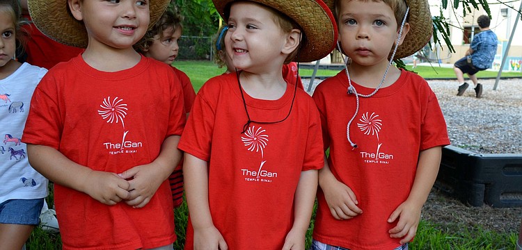 Troy Horsley, Alexander Nir and Teak Gammaro