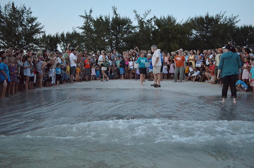 Spectators waiting for the sea turtles to be released.