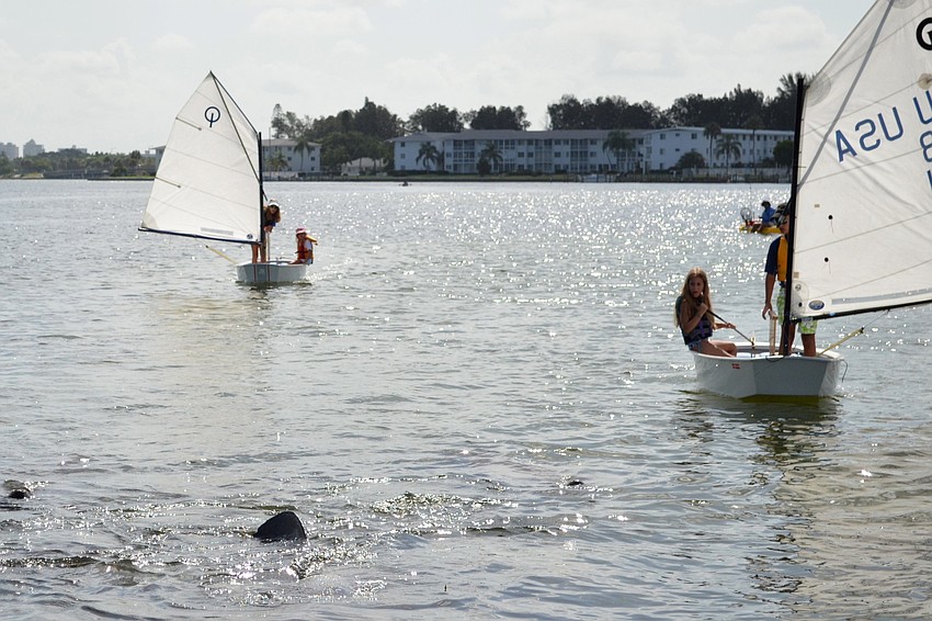 Campers watch as manatees begin surfacing near their boats.