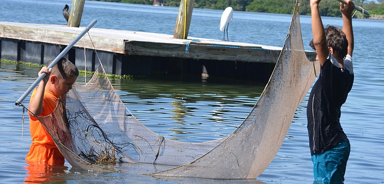 Adam Stump, 10, and Eric Hvideberg, 11, look for critters they catch in their trolling net.