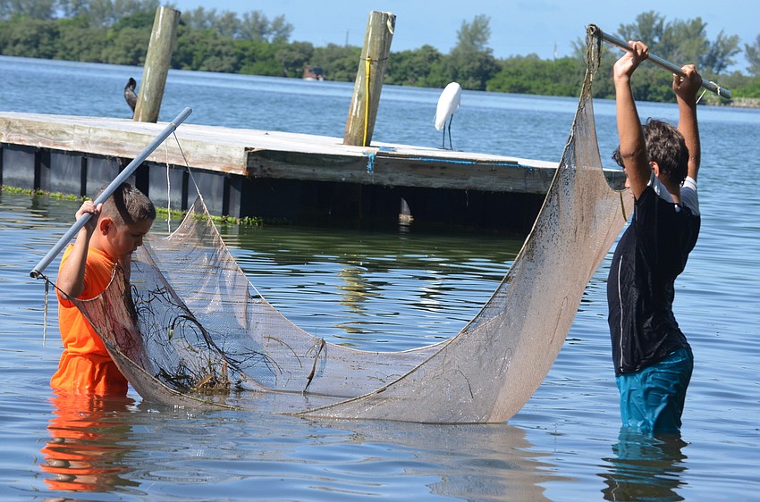 Adam Stump, 10, and Eric Hvideberg, 11, look for critters they catch in their trolling net.