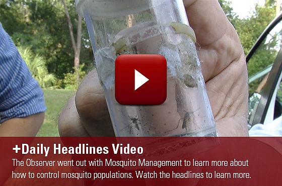 Mosquitos endanger more human lives then any other animal on the planet. Learn more in today's headlines.