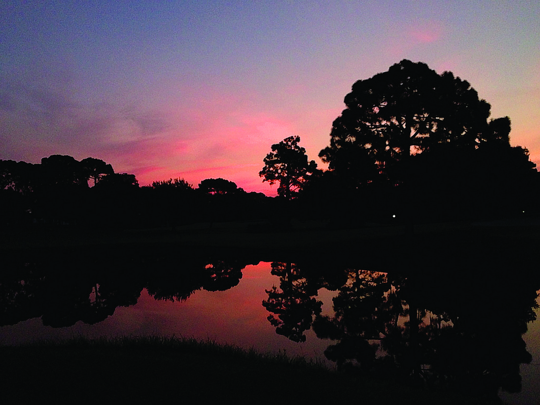 Rebecca Cantrell submitted this photo, taken during an early-morning walk in Palm Aire.