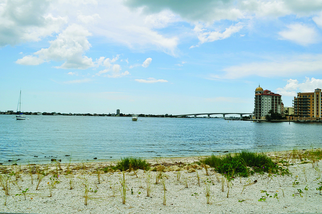 The plants are still flowering in Bayfront Park, but the city and the Sarasota Bay Estuary Program hope this living shoreline will eventually serve as an educational attraction for people walking along the water.