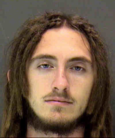Deputies arrested Michael Molner, 19, on three felony counts of burglary Aug. 30.