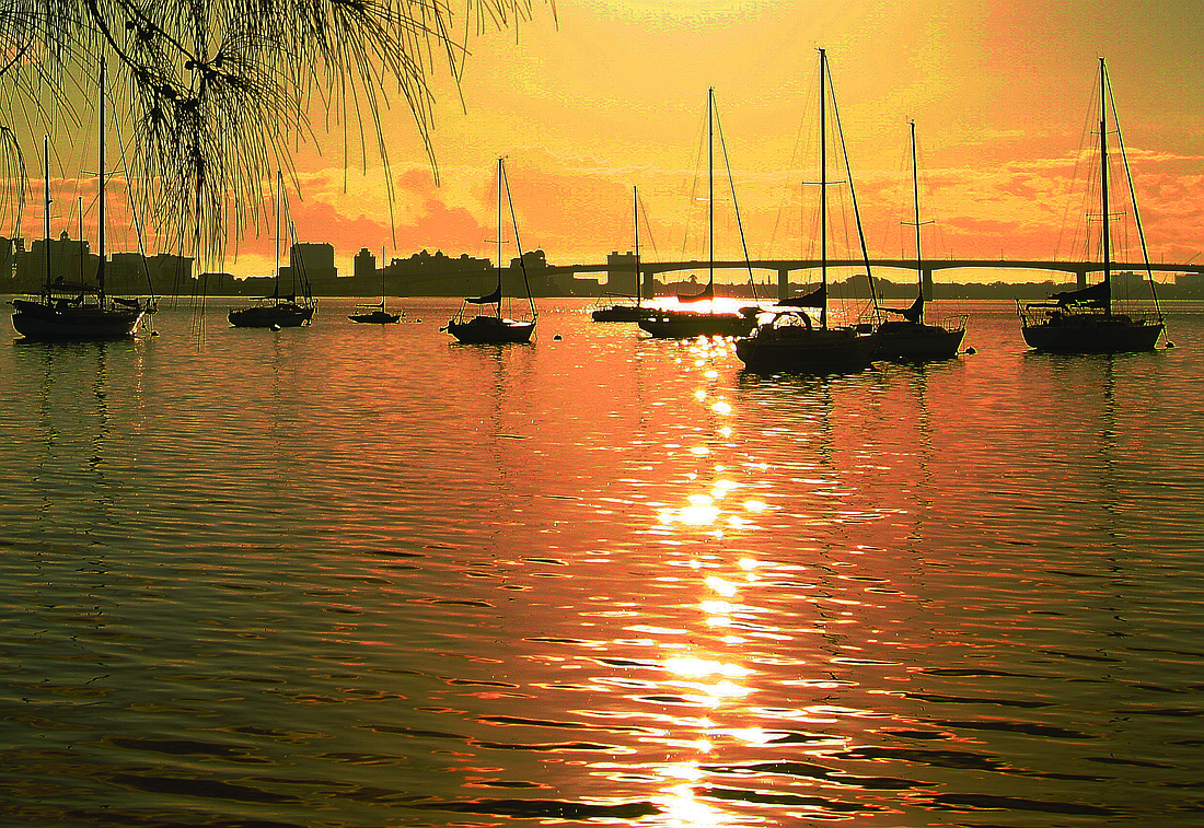 Henry Adomonis submitted this sunrise photo, taken overlooking Sarasota Bay.