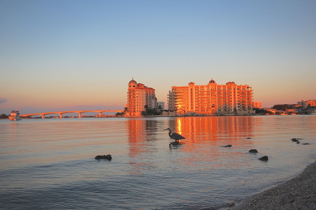 Lisa Greenberg submitted this sunrise photo, taken along the Sarasota bayfront.