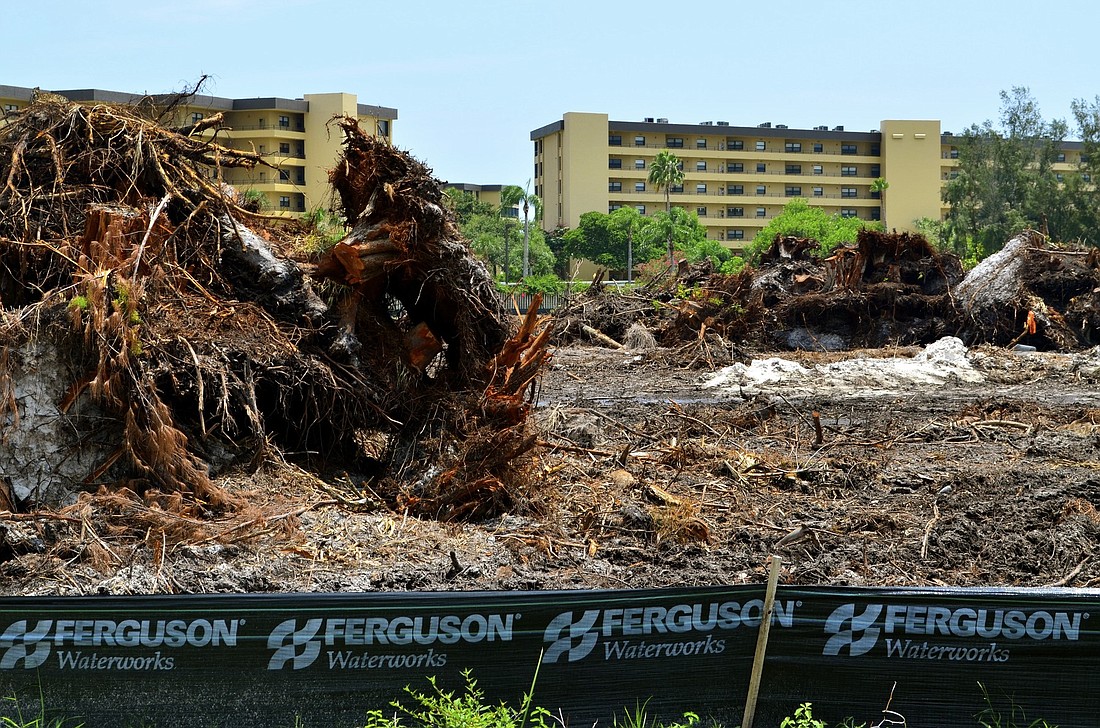 In August land was cleared adjacent to the Gulf and Bay Club Condominiums, seen in back, for a retention pond and ultraviolet light water treatment units.
