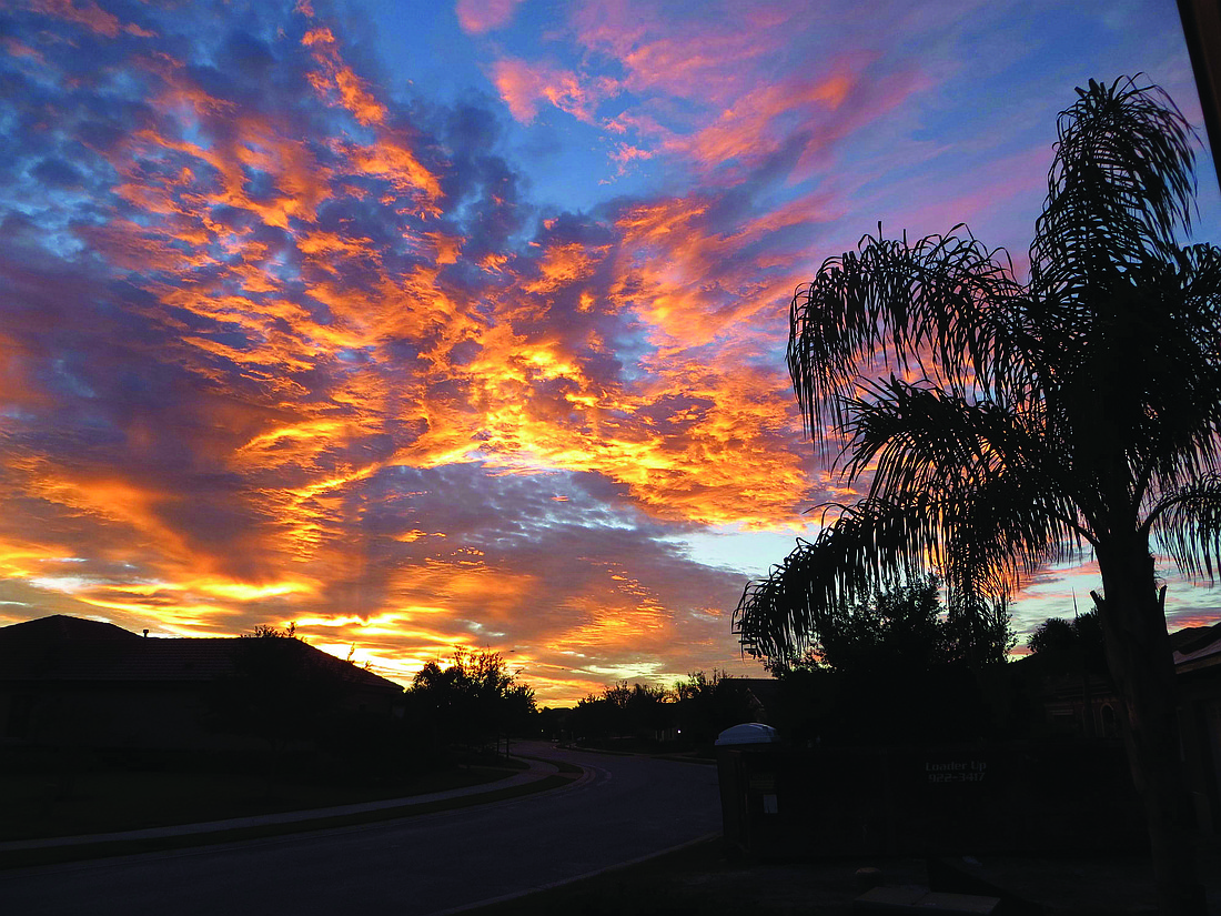 Nigel Judd submitted this sunrise photo, taken in at County Club East in Lakewood Ranch.