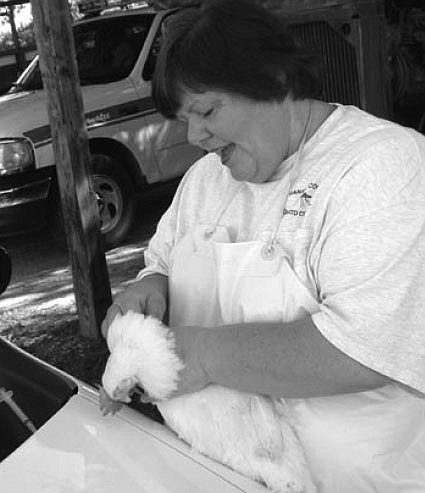 Debra Kinney tests a chicken for West Nile.