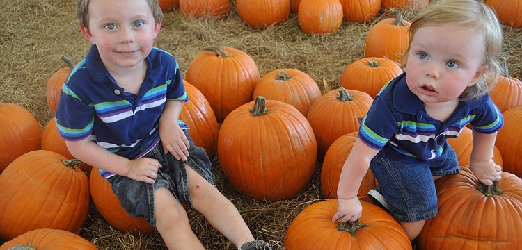 Hank and Cash Howard are veterans at the Pumpkin Festival so they know where to spend their time.