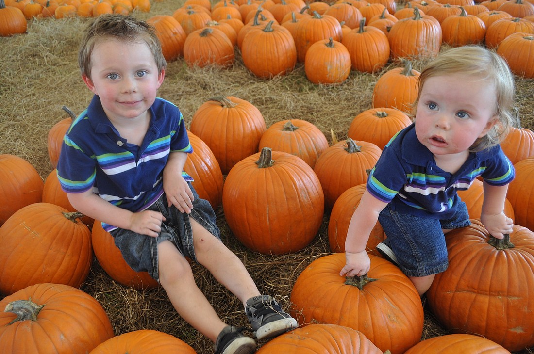 Hank and Cash Howard are veterans at the Pumpkin Festival so they know where to spend their time.