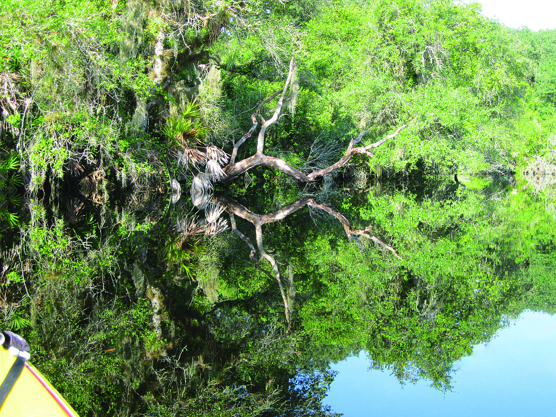 Willy Lee submitted this reflective photo, taken on the Myakka River.